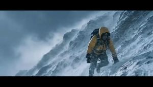 VANZO LX Dashboard Series - 1515 Wintersweet