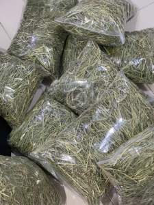 1KG FILTERED Premium Timothy Hay Dust-Free