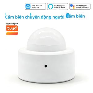 Cuộc Sống Thông Minh Zigbee3.0 Mini PIR Cảm Biến Chuyển Động Máy Dò Cơ Thể Hồng Ngoại Không Dây Alexa Google Home Tương Thích Với Cảnh Báo An Ninh Nhắc Nhở