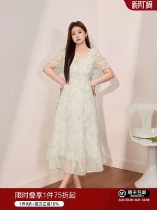 Elegant and Fresh Embroidered Plus Size Dress A-Line