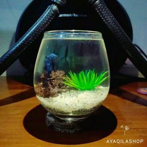 AKUARIUM MINI CUPANG A / TANK CUPANG / AQUARIUM GUPPY / AQUASCAPE UNIK