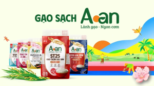 Combo 3 túi Gạo ST21 ngon túi 5kg - bao bì mới - Chính hãng Gạo sạch Aan