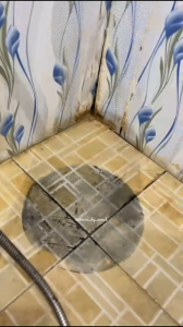 CLINK PEMBERSIH TOILET CLOSET WC KERAK PORSELEN SHOWER KACA LANTAI KAMAR MANDI JAMUR BANDEL