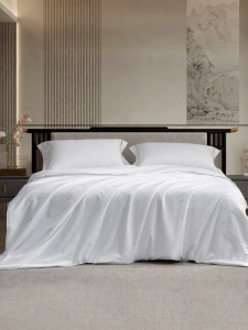 TAIHU SNOW | 100% Silk Quilt Spring Autumn Winter