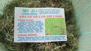 1kg cây cỏ gà - cỏ chỉ sấy khô