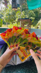 (combo 5 gói) Cám dưỡng lông Lê Thịnh dành cho chim hút mật gói 100gr