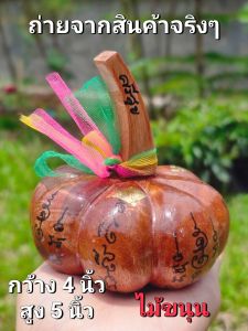 ฝักทอง เสริมสิริมงคล ทำจากไม้ขนุน มงคล