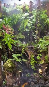 máy phun sương mius smart gồm 2 bec đơn