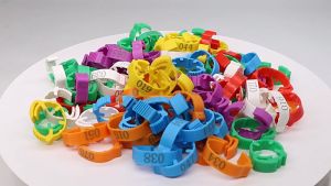 100Pcs Adjustable Chicken Foot Ring Chicken Feet Tag Numbered Poultry Leg Band for Gamefowl Duck Goose Pigeons Fighting Chicken Accessories