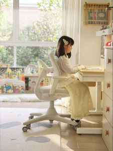 Hbada | Posture Correction Adjustable Childrens Study Chair