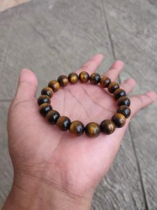 Gelang taliarus atau akar bahar