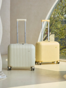 New 2026 Small Suitcase with Lock Function