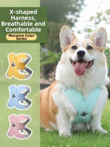 VOA | Anti-Escape Breathable Anti-Choke Summer Small Dog Vest Adjustable Leash