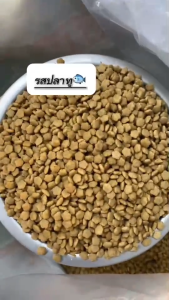 KIN D อาหารสำหรับแมวโต รสทูน่าและรสปลาทู แบ่งขายตักจากกระสอบ 1 kg.