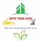 BVTV THẦN EURO