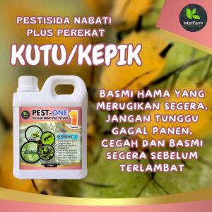 Pestone AntiHama Organik 1 Liter Pembasmi Kutu/Kepik Tanaman 100% Organic Bebas Sulfat INTERFARM