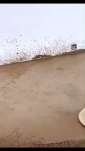 BERALA เครื่องขัดปูนฉาบ เครื่องขัดพื้น ขัดผนัง รุ่น BL-111 BL-333 สำหรับปาดปูนฉาบผนัง ปรับความเร็วได้ 6 ระดับ ขัดหน้าปูนได้ตามอุปกรณใบขัดที่เราเเถมไป สุดคุ้ม