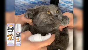 Pet Cleansing Mousse No-Rinse Water-Free Eeljoy Freshness Soothing Clean for Cats & Dogs 100ml