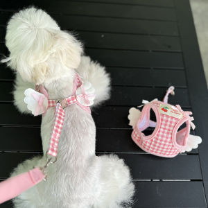 Small Wings Pet Chest Strap Dog Leash Set Teddy Bichon Outdoor Walking Rope Harness for Small Dogs Customizable Handmade Design