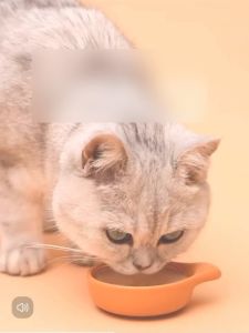 Champion Cat Canned Food 85G: Wet Food Suitable for Old Cats, Kittens & Adult Cats