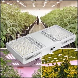 AC100-277V แสงการเจริญเติบโตของพืช 750W LED Grow light ความสว่างที่ปรับได้ SMD5050 สเปคตรัมเต็มรูปแบบ 2.8-3.0μmol/J ใช้ได้กับไฟการเจริญเติบโตของพืชทั้งหมด