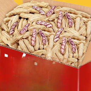  Dried Colorful Peanuts with Shell Yunnan Specialty Product Natural Sun-dried Wild Field Peanuts Snacks/Nuts/Local Specialties