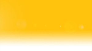 HOZELOCK 2362# Garden Hose Pipe Hanger Wall Mounted Tidy Storage Shed Reel Holder