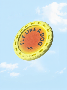 howgo | Bite Resistant Outdoor Dog Frisbee