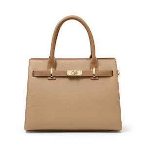 Commuter handbag bag womens 2024 new light luxury atmospheric platinum bag large capacity mother bag high sense messenger bag