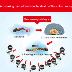 🐜All termites are dead🐜5g/bag Termites killer powder Infecting each other the whole nest diedtermite killeranay pest control termite ant bait ant killer powder ant bait ant killer ant killer pest control