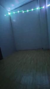 Tosunra LS-3w laser light