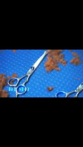 5 PAKET SET GUNTING GROOMING BULU KUCING ANJING STAINLESS STEEL PET DOGS GROOMING GUNTING BULU SISIR