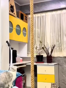 118.11 inch Long 34.9mm Thickened Cat Climbing Rope with Hook & Ring Cat Climbing Toy
