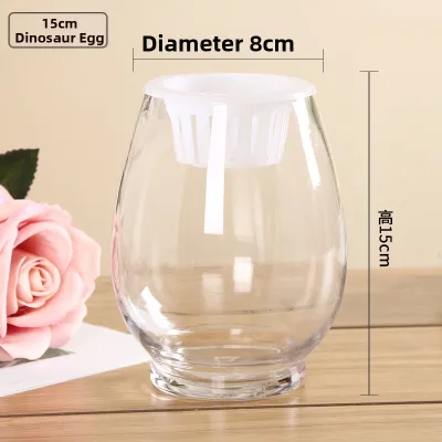 forsso | Transparent Thickened Hydroponic Vase