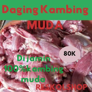 Daging kambing muda