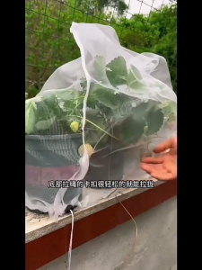 LengyouuNet ถุงป้องกันอเนกประสงค์ออกแบบเชือกผูกโพลีเอสเตอร์ ต้นไม้ผลไม้แผงตา ฟาร์ม