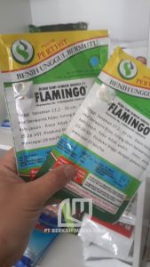 Biji Bibit Benih Sawi Sendok Pakcoy Flamingo Hibrida F1 Netto 50 Gram