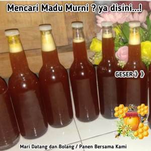 MADU ASLI | MADU KEMASAN EKONOMIS | MADU MURNI 100% ORGANIK