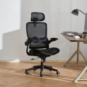 BOJOJAN | Ergonomic Comfort Chair