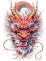 stiker gambar dragon size 15x20 cm print cut. 