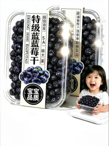 ZHENSHANGZUI | No Additives No Sugar Blueberry Dried Fruit
