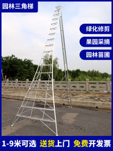 Aluminum Alloy Triangular Ladder for Garden Fruit Orchard Pruning Ladder Stable Humanitarian Ladder Durable Welded Ladder