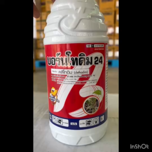 คลีโทดิม 1 ลิตร สารกำจัดวัชพืช บอร์นโทดิม กำจัดหญ้าใบแคบ และลูกข้าวทุกชนิด ฉีดทับพืชปลูกใบกว้างได้เลย