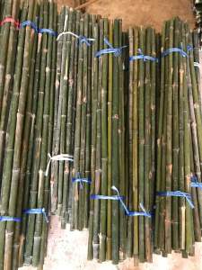 ด้ามไม้ไผ่ลำ ยาว 110 ซม. กว้าง 1.8-2.4ซม.(บรรจุ 10 ด้าม)#ด้ามไม้กวาด แบบสีธรรมชาติแบบลงแชล็ค