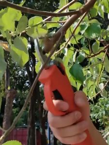 Electric Pruning Shears Professional Cordless Electric Scissors Pruning Shear 4 Gears Tree Branches Pruner Garden Tools Pemotong Dahan Gunting