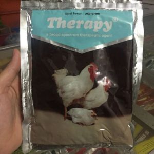 Therapy 250 gram Obat Ayam Kolera Pullorum CRD Korisa