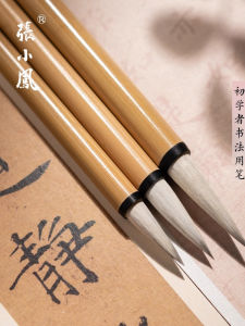 Bộ Bút Chì Chữ Hán Zhaoxiaofeng Dành Cho Người Mới Bắt Đầu Bộ Bút Chì Chữ Hán Tiêu Chuẩn Trung Tính Bút Chì Cừu Bút Chì Hồ