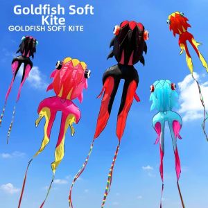 SPACECYCLE | Adult Large 3D Skeletal-free Kite