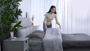 RICHMENT Wireless Dust Mite Remover Bedding & Household Dust Cleaner Dust Mite Eliminator Super Suction Sterilizer Multi-Functional