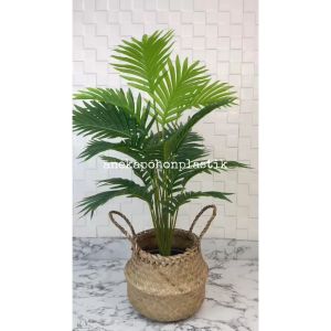 Dekorasi Ruangan Cafe dengan Pohon Hias Daun Palem Kelapa